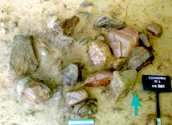 Archeolodzy podczas badań wykopaliskowych cmentarzyska w Cichowie