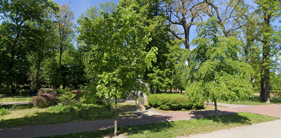Park imienia Kościuszki w Przasnyszu, aleja wśród starych drzew